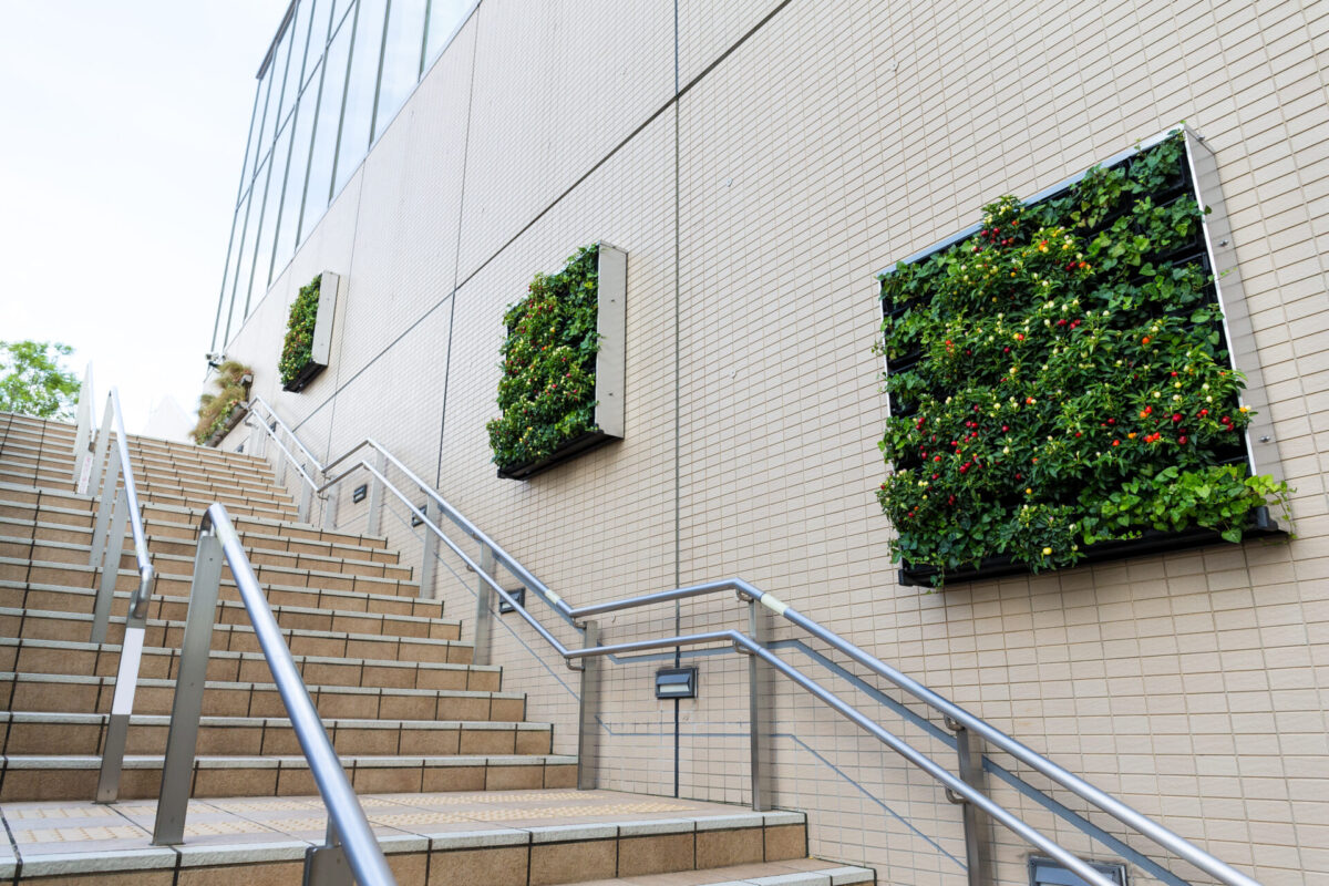 The rise of vertical gardens