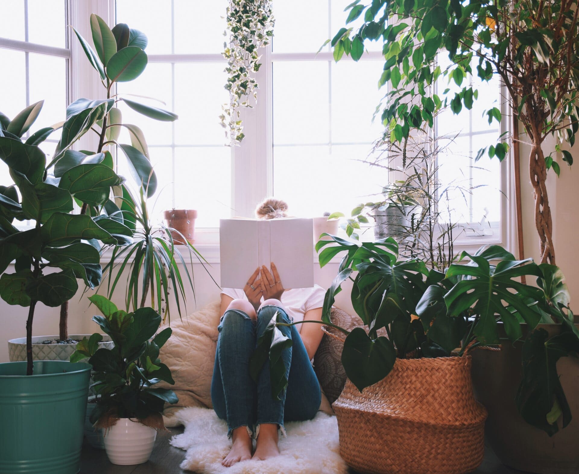 Reading nook with plants 