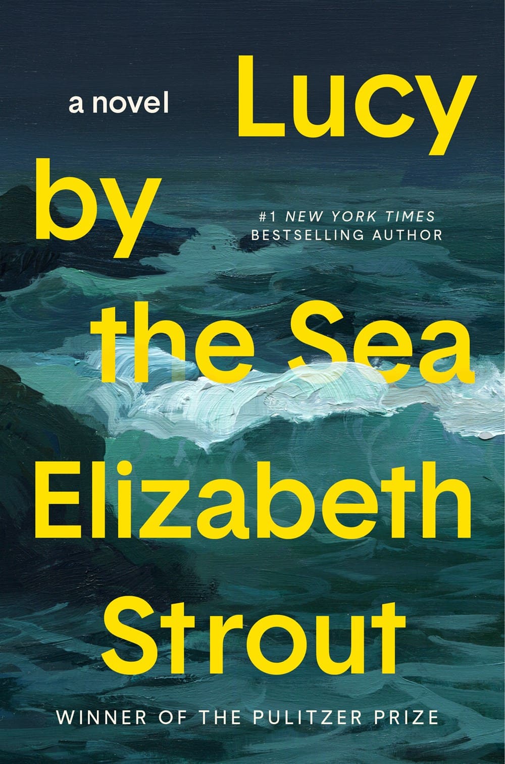 Book cover of Lucy by the sea novel