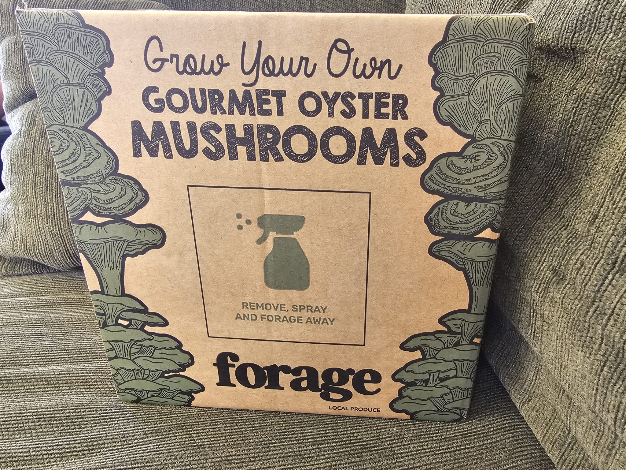 Grow your own mushroom kit at home